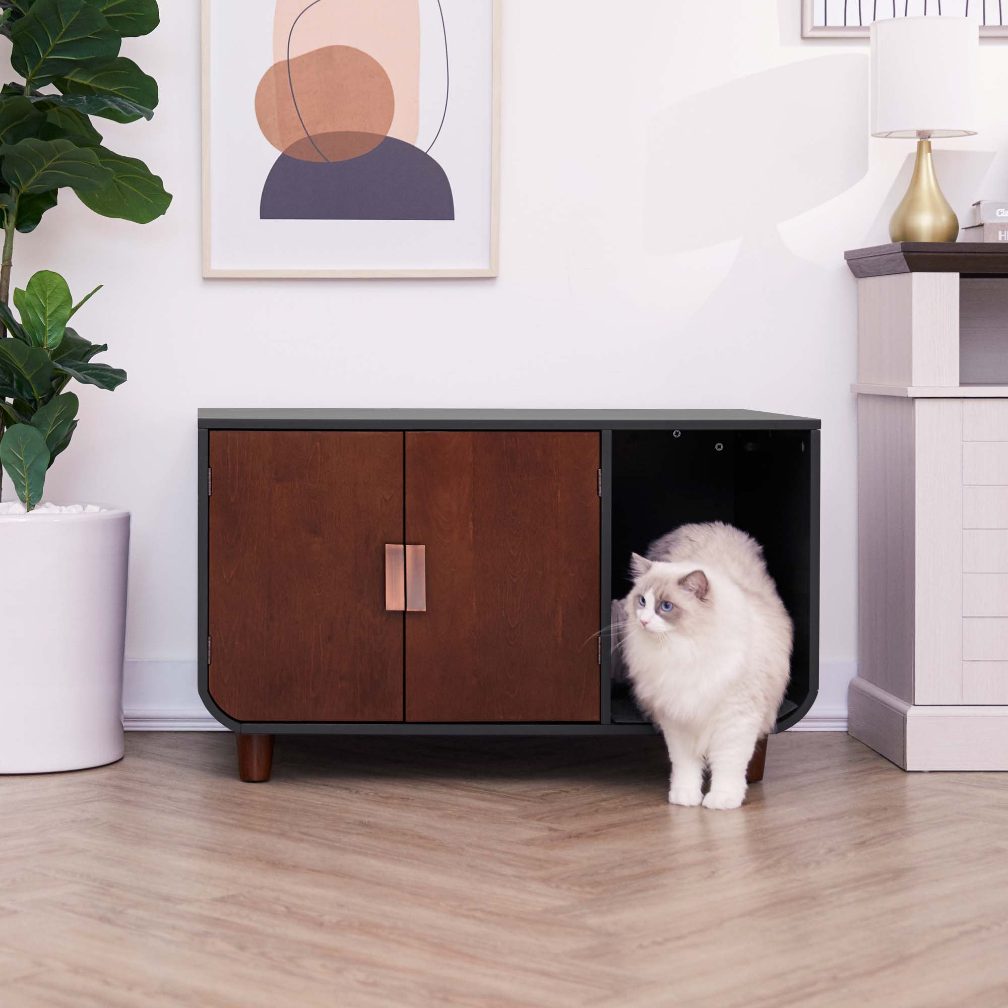 Walnut Box with outlets Cat