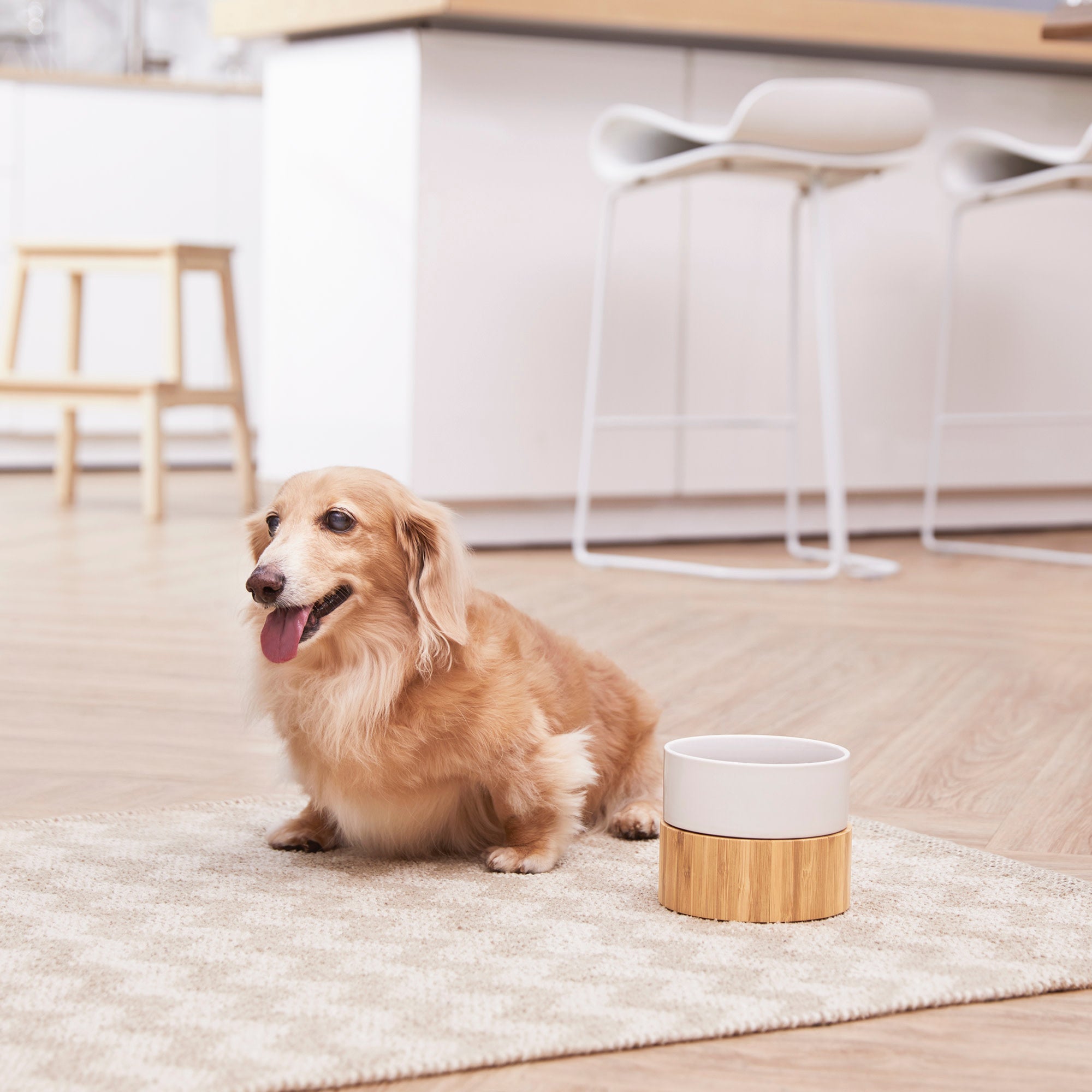 are bamboo dog bowls safe